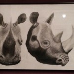 Rhinocéros