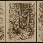 Arbres, triptyque, fusain