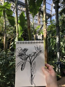 Atelier-dessin-Carnet-voyage (2)