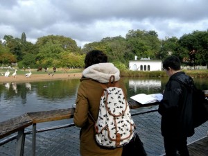 Lyon : Carnet de voyage - parc de la Tête d'Or