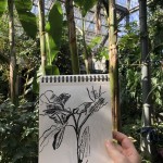Atelier-dessin-Carnet-voyage (2)