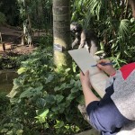 Atelier-dessin-Carnet-voyage (3)